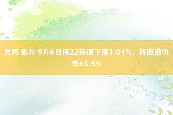 男同 影片 9月6日伟22转债下落1.04%，转股溢价率63.5%