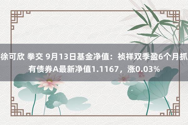 徐可欣 拳交 9月13日基金净值：祯祥双季盈6个月抓有债券A最新净值1.1167，涨0.03%