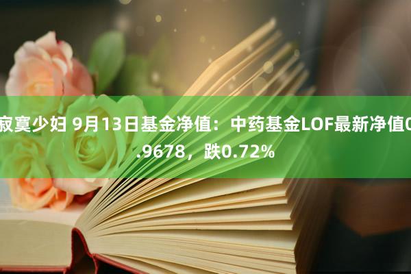 寂寞少妇 9月13日基金净值：中药基金LOF最新净值0.9678，跌0.72%