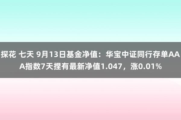 探花 七天 9月13日基金净值：华宝中证同行存单AAA指数7天捏有最新净值1.047，涨0.01%