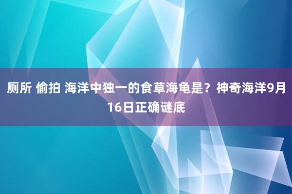 厕所 偷拍 海洋中独一的食草海龟是？神奇海洋9月16日正确谜底