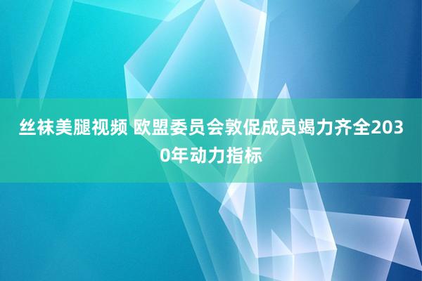 丝袜美腿视频 欧盟委员会敦促成员竭力齐全2030年动力指标