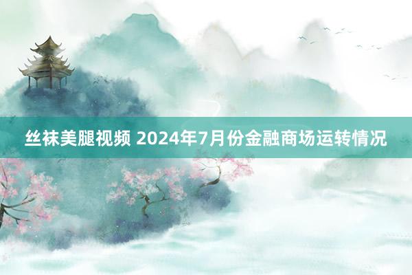 丝袜美腿视频 2024年7月份金融商场运转情况