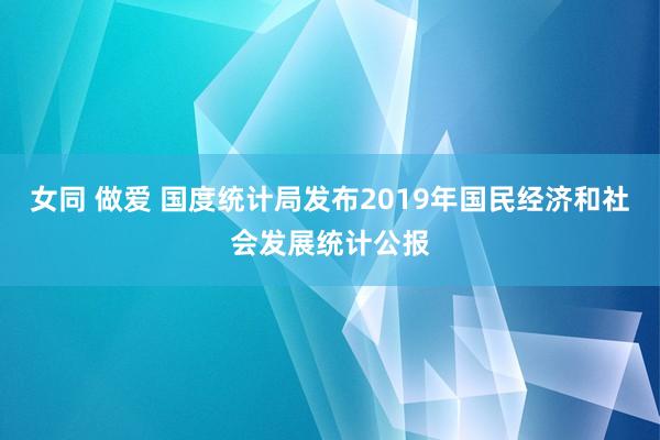 女同 做爱 国度统计局发布2019年国民经济和社会发展统计公报