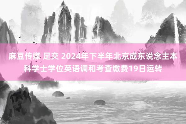 麻豆传媒 足交 2024年下半年北京成东说念主本科学士学位英语调和考查缴费19日运转