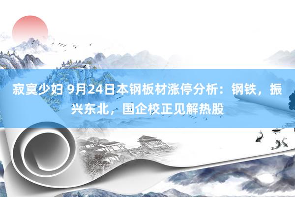 寂寞少妇 9月24日本钢板材涨停分析：钢铁，振兴东北，国企校正见解热股