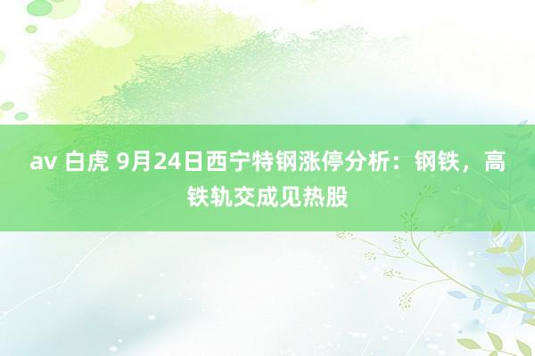 av 白虎 9月24日西宁特钢涨停分析：钢铁，高铁轨交成见热股