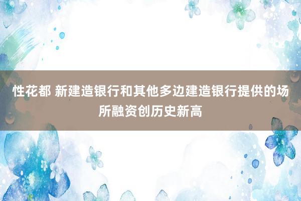 性花都 新建造银行和其他多边建造银行提供的场所融资创历史新高