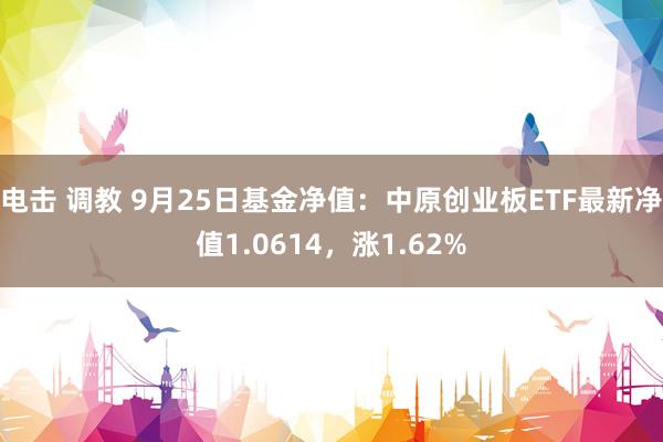 电击 调教 9月25日基金净值：中原创业板ETF最新净值1.0614，涨1.62%