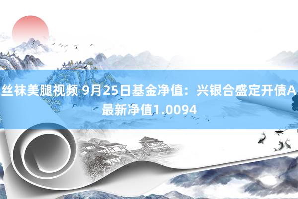 丝袜美腿视频 9月25日基金净值：兴银合盛定开债A最新净值1.0094