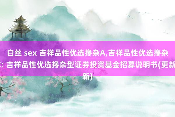 白丝 sex 吉祥品性优选搀杂A,吉祥品性优选搀杂C: 吉祥品性优选搀杂型证券投资基金招募说明书(更新)