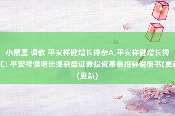 小黑屋 调教 平安祥健增长搀杂A,平安祥健增长搀杂C: 平安祥健增长搀杂型证券投资基金招募说明书(更新)