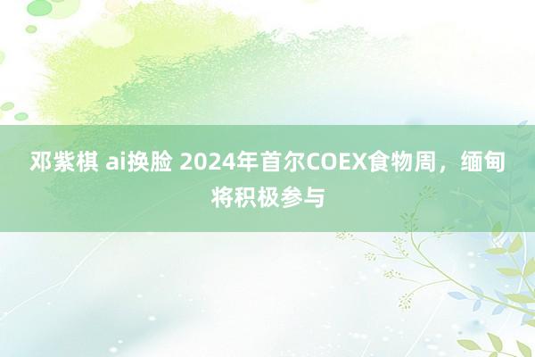 邓紫棋 ai换脸 2024年首尔COEX食物周，缅甸将积极参与