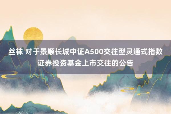 丝袜 对于景顺长城中证A500交往型灵通式指数证券投资基金上市交往的公告