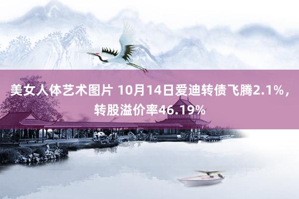 美女人体艺术图片 10月14日爱迪转债飞腾2.1%，转股溢价率46.19%