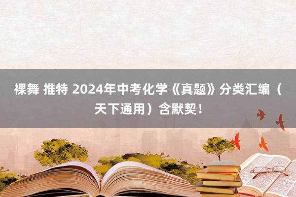 裸舞 推特 2024年中考化学《真题》分类汇编（天下通用）含默契！