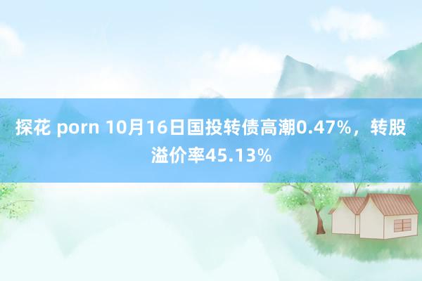 探花 porn 10月16日国投转债高潮0.47%，转股溢价率45.13%