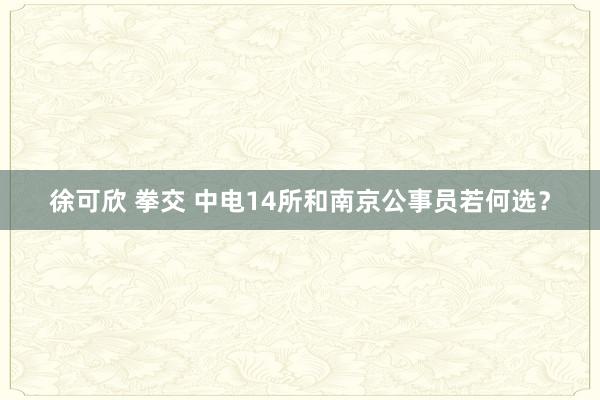 徐可欣 拳交 中电14所和南京公事员若何选？