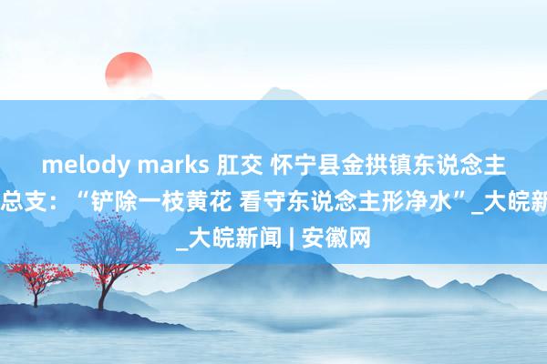 melody marks 肛交 怀宁县金拱镇东说念主形河社区党总支：“铲除一枝黄花 看守东说念主形净水”_大皖新闻 | 安徽网