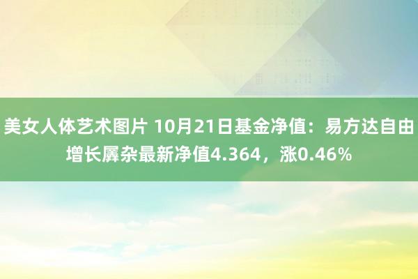 美女人体艺术图片 10月21日基金净值：易方达自由增长羼杂最新净值4.364，涨0.46%