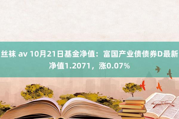 丝袜 av 10月21日基金净值：富国产业债债券D最新净值1.2071，涨0.07%