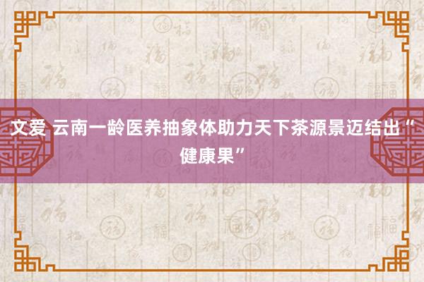 文爱 云南一龄医养抽象体助力天下茶源景迈结出“健康果”