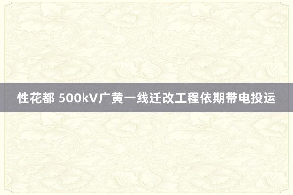 性花都 500kV广黄一线迁改工程依期带电投运