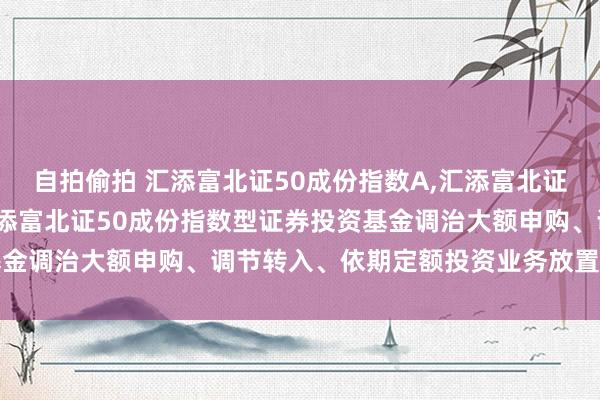 自拍偷拍 汇添富北证50成份指数A,汇添富北证50成份指数C: 对于汇添富北证50成份指数型证券投资基金调治大额申购、调节转入、依期定额投资业务放置金额的公告