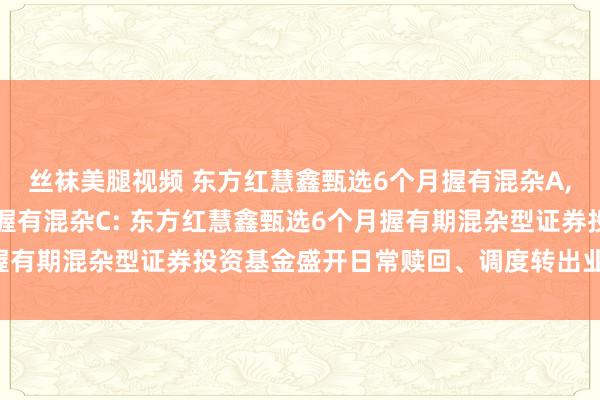 丝袜美腿视频 东方红慧鑫甄选6个月握有混杂A，东方红慧鑫甄选6个月握有混杂C: 东方红慧鑫甄选6个月握有期混杂型证券投资基金盛开日常赎回、调度转出业务的公告