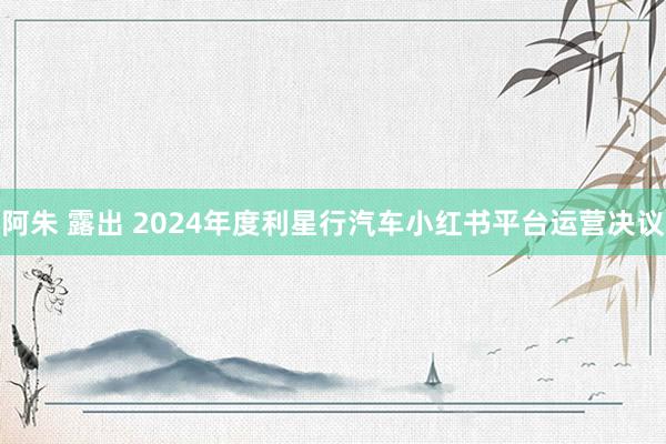 阿朱 露出 2024年度利星行汽车小红书平台运营决议