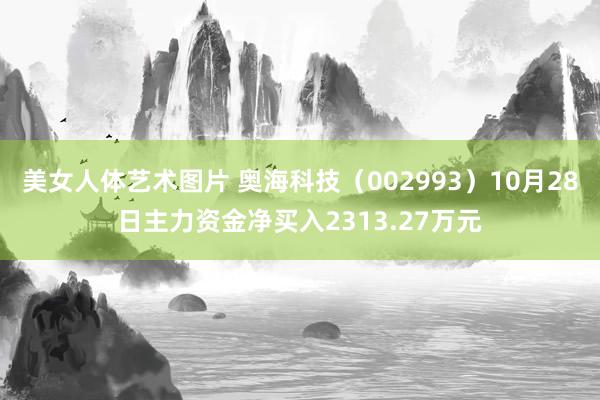 美女人体艺术图片 奥海科技（002993）10月28日主力资金净买入2313.27万元