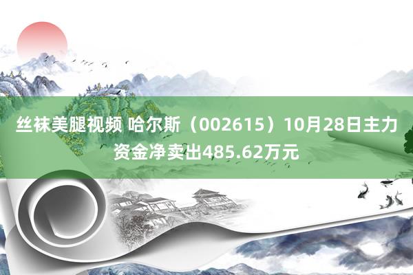 丝袜美腿视频 哈尔斯（002615）10月28日主力资金净卖出485.62万元