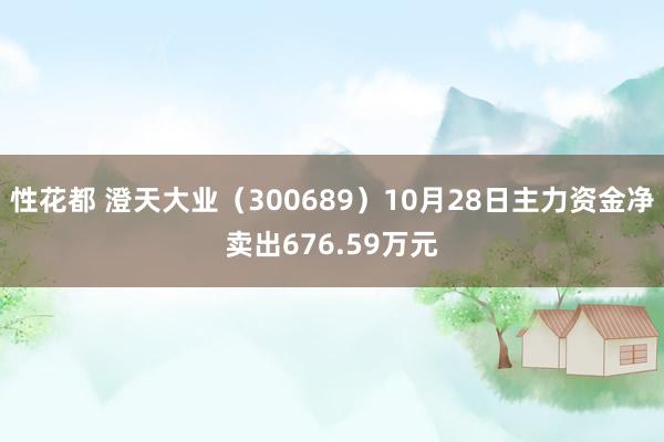 性花都 澄天大业（300689）10月28日主力资金净卖出676.59万元