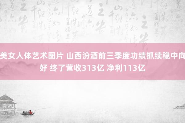 美女人体艺术图片 山西汾酒前三季度功绩抓续稳中向好 终了营收313亿 净利113亿