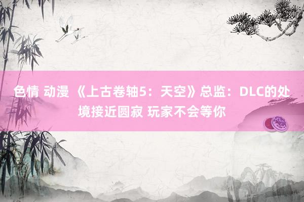 色情 动漫 《上古卷轴5：天空》总监：DLC的处境接近圆寂 玩家不会等你