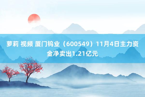 萝莉 视频 厦门钨业（600549）11月4日主力资金净卖出1.21亿元