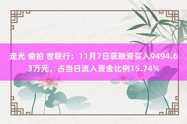 走光 偷拍 世联行：11月7日获融资买入9494.63万元，占当日流入资金比例15.74%