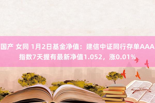 国产 女同 1月2日基金净值：建信中证同行存单AAA指数7天握有最新净值1.052，涨0.01%