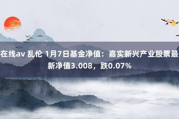 在线av 乱伦 1月7日基金净值：嘉实新兴产业股票最新净值3.008，跌0.07%