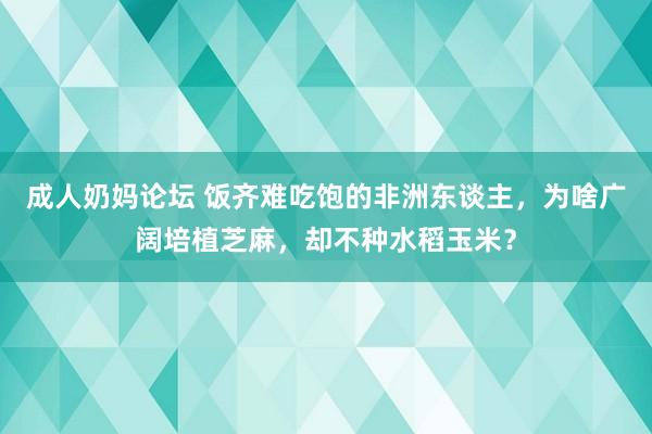 成人奶妈论坛 饭齐难吃饱的非洲东谈主，为啥广阔培植芝麻，却不种水稻玉米？