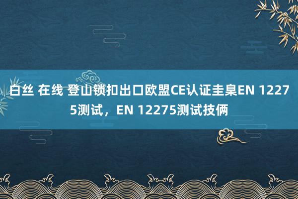 白丝 在线 登山锁扣出口欧盟CE认证圭臬EN 12275测试，EN 12275测试技俩