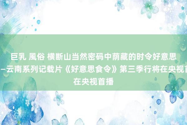 巨乳 風俗 横断山当然密码中荫藏的时令好意思食——云南系列记载片《好意思食令》第三季行将在央视首播