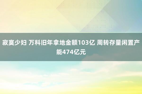 寂寞少妇 万科旧年拿地金额103亿 周转存量闲置产能474亿元