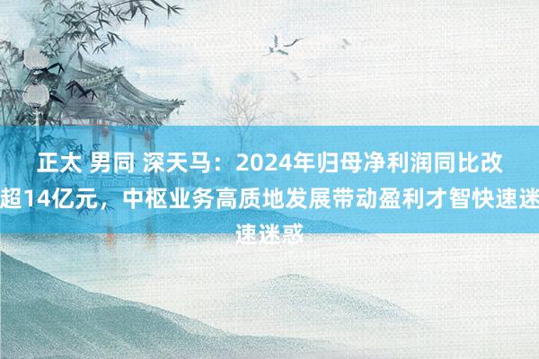 正太 男同 深天马：2024年归母净利润同比改善超14亿元，中枢业务高质地发展带动盈利才智快速迷惑